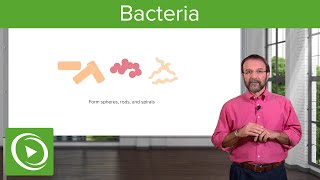 Bacteria Structure amp Types – Microbiology  Lecturio [upl. by Eirod]