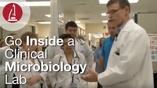 Go Inside a Clinical Microbiology Lab [upl. by Cerys655]