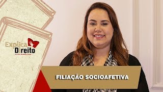 Explica Direito Filiação Socioafetiva  2019 [upl. by Ellery]