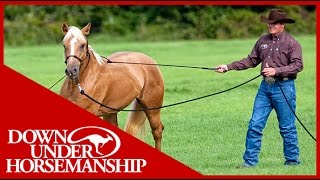 Clinton Anderson Training a Rescue Horse Part 1  Downunder Horsemanship [upl. by Lazaruk]