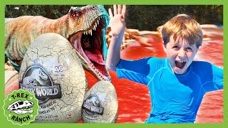 The Pool is Lava Watch Out Jurassic Dinosaur toy Adventure by TRex Ranch [upl. by Eecyal]