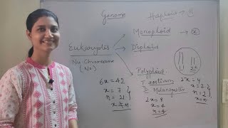 Introduction to Genome Monoploid Diploid Polyploid conditions [upl. by Ynogoham828]