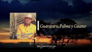 Jorge Guerrero  Guarataro Palma y Guamo [upl. by Nylesoy]