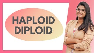 Haploid amp Diploid Explanation  Difference HINDI [upl. by Animrelliug17]