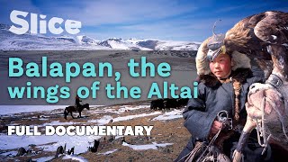 Balapan the wings of the Altai  SLICE I Full documentary [upl. by Gilpin]