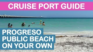 Progreso Yucatán Cruise Port Guide Public Beach On Your Own [upl. by Ahsinrev]