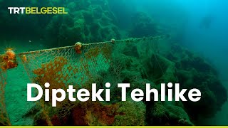 Dipteki Tehlike  TRT Belgesel [upl. by Lednor]