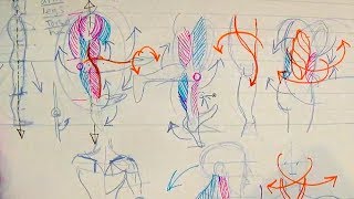 How to Draw Human Anatomy Part 1  Beginner Introduction [upl. by Inuat521]