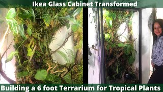 Ikea Greenhouse Cabinet 6 Foot Terrarium for Tropical Plants  The OG the 1st one ever built [upl. by Goldy338]