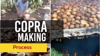 What Is Copra And How Is It Made [upl. by Leirbma300]