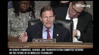 US Senator Blumenthal Questions 5G Health Risks at Senate Hearing [upl. by Itnaihc]