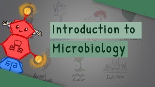 Introduction To Microbiology [upl. by Wie]