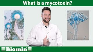 What is a mycotoxin Your Animal Nutrition Questions Answered [upl. by Eciuqram697]