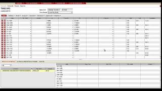 How to Check Hours Worked in ADP [upl. by Chaffin]