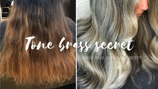 How To Tone Hair CHEAP EASY SECRET [upl. by Hoseia]