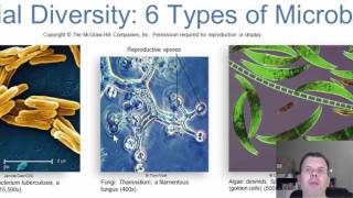 Chapter 1 Introduction to Microbiology [upl. by Ahsenhoj]