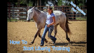 How To Start Liberty Training With Your Horse Basic Exercises Part 1 [upl. by Dinny]