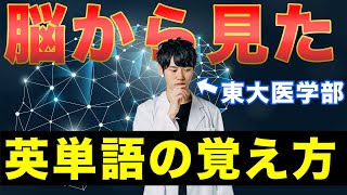 脳科学的に英単語を無限に覚える方法 [upl. by Enimrej141]