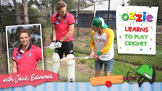 Cricket For Kids With Jack Edwards Sydney Sixers  Cricket Skills  Educational Video With Ozzie [upl. by Adnorhs]