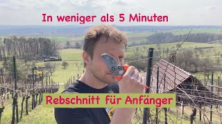 Rebschnitt für Anfänger [upl. by Culbertson]