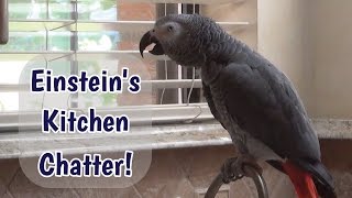 Einsteins Kitchen Chatter [upl. by Friedly]