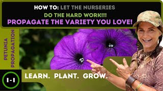 Propagating Petunias More Flowers With This Super Power 2021 [upl. by Nobe]