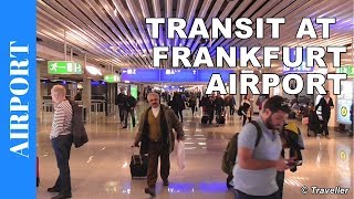 TRANSIT WALK AT FRANKFURT Airport FRA Terminal 1  Connection Flight Transfer Arriving amp Departing [upl. by Diogenes715]