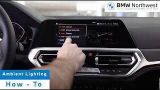 Changing your Ambient Lighting Colors in your BMW  How To  BMW Northwest [upl. by Sucramraj]