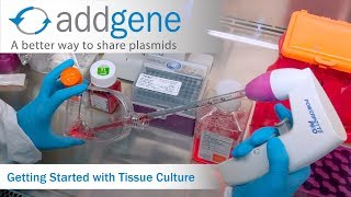 Getting Started with Tissue Culture [upl. by Veronika816]