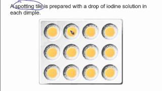 The starch amp amylase experiment [upl. by Ahsimek]